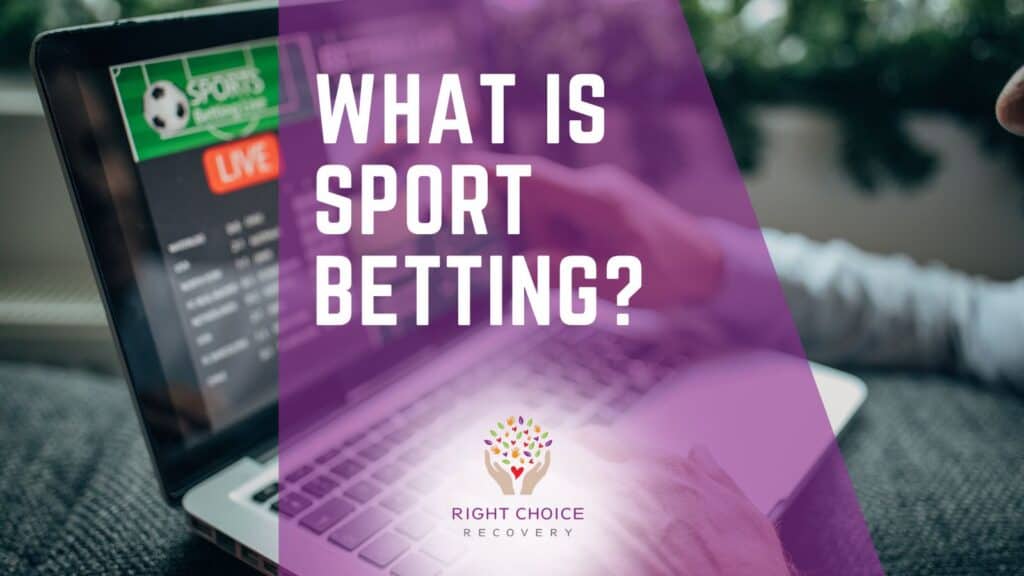 Best Bookies for Live Streaming Discover the Top Options in 2023 Best Bookies for Live Streaming Discover the Top Options in 2023