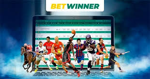 Comprehensive Guide to BetWinner Support 28 Comprehensive Guide to BetWinner Support 28