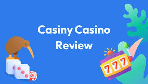 Everything You Need to Know About Your Casiny Account 28 Everything You Need to Know About Your Casiny Account 28