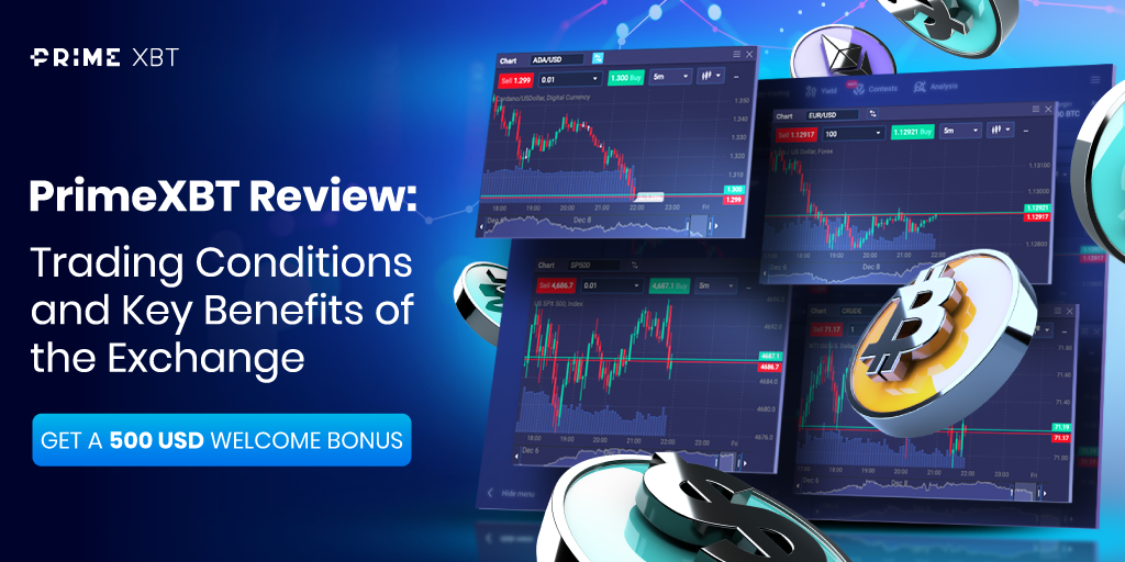 Maximize Your Trading Potential with PrimeXBT 12