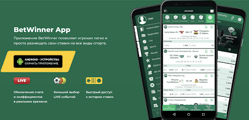 BD Baji Vip — Comprehensive Guide to Features, Access and Best Practices