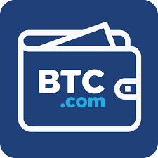 The Evolution of BTC Payment Providers and Their Impact on E-commerce