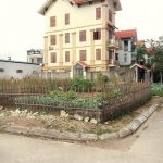 dat-biet-thu-cot-3-ha-long-4