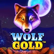 Wolf Gold Demo 신나는 슬롯 게임의 세계