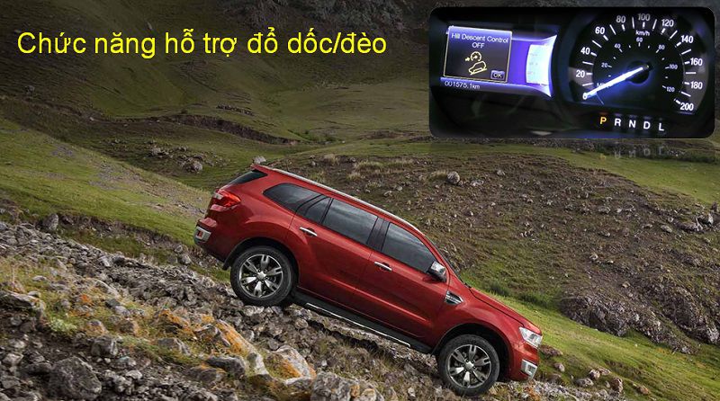 Everest titanium 26