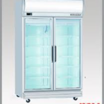 TỦ ĐÔNG TRƯNG BÀY 2 CÁNH KIẾNG 2D/DF-SM-EV