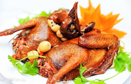 Bồ câu