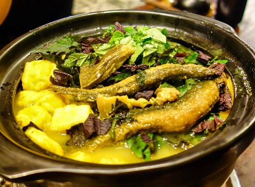 Cá Chạch ( Theo thời giá)