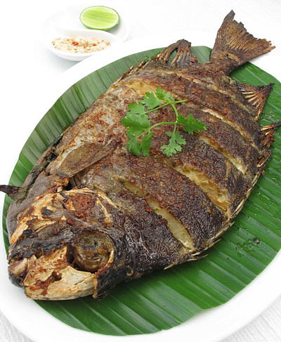 Cá Dìa - Cá Đuối - Cá Mập Nhám - Cá Mặt Quỷ (Theo thời giá)