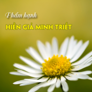 pham hanh HG MT